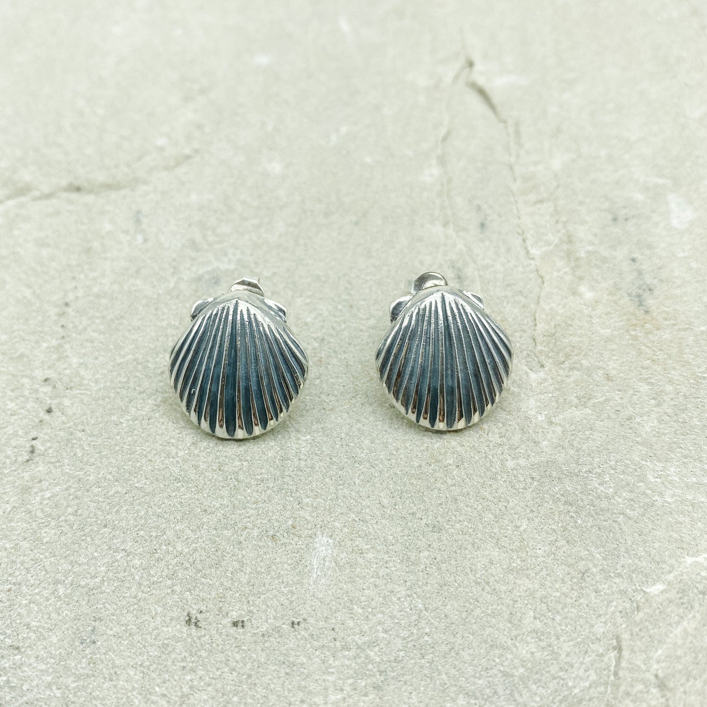 Scallop shell studs