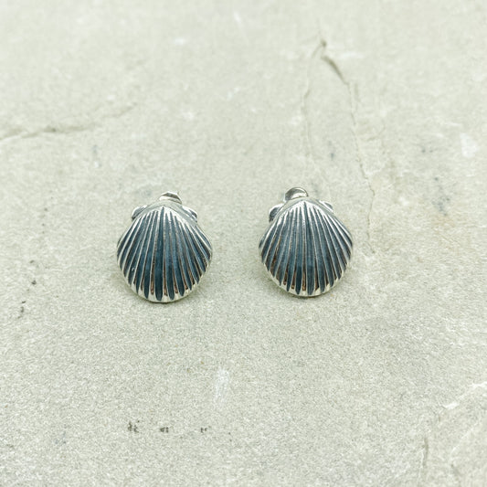 Scallop shell studs