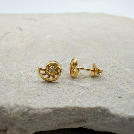 Spiral shell studs