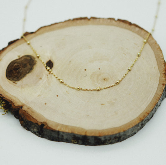 Dainty Chain Choker - Gold